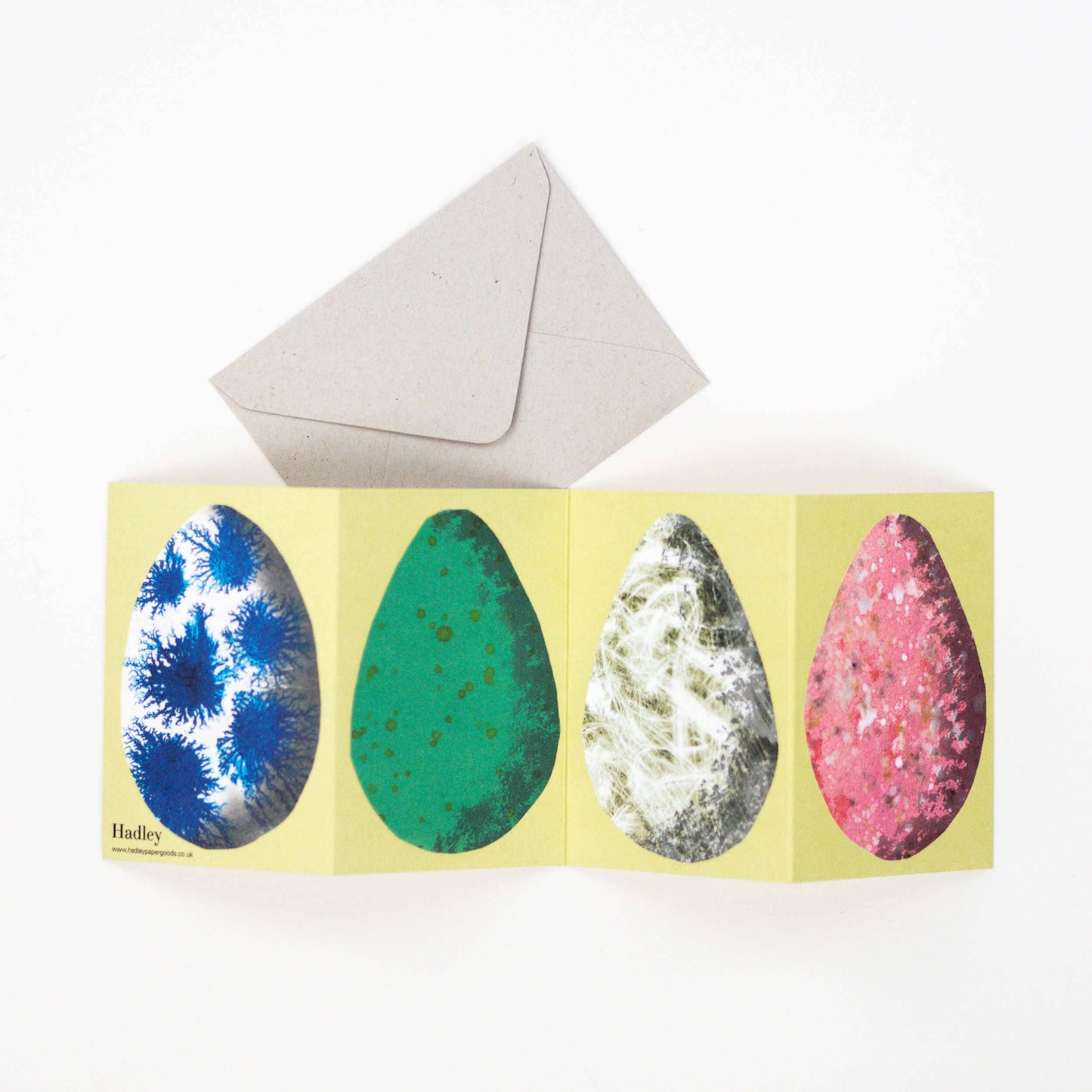 Egg Concertina Greeting Card