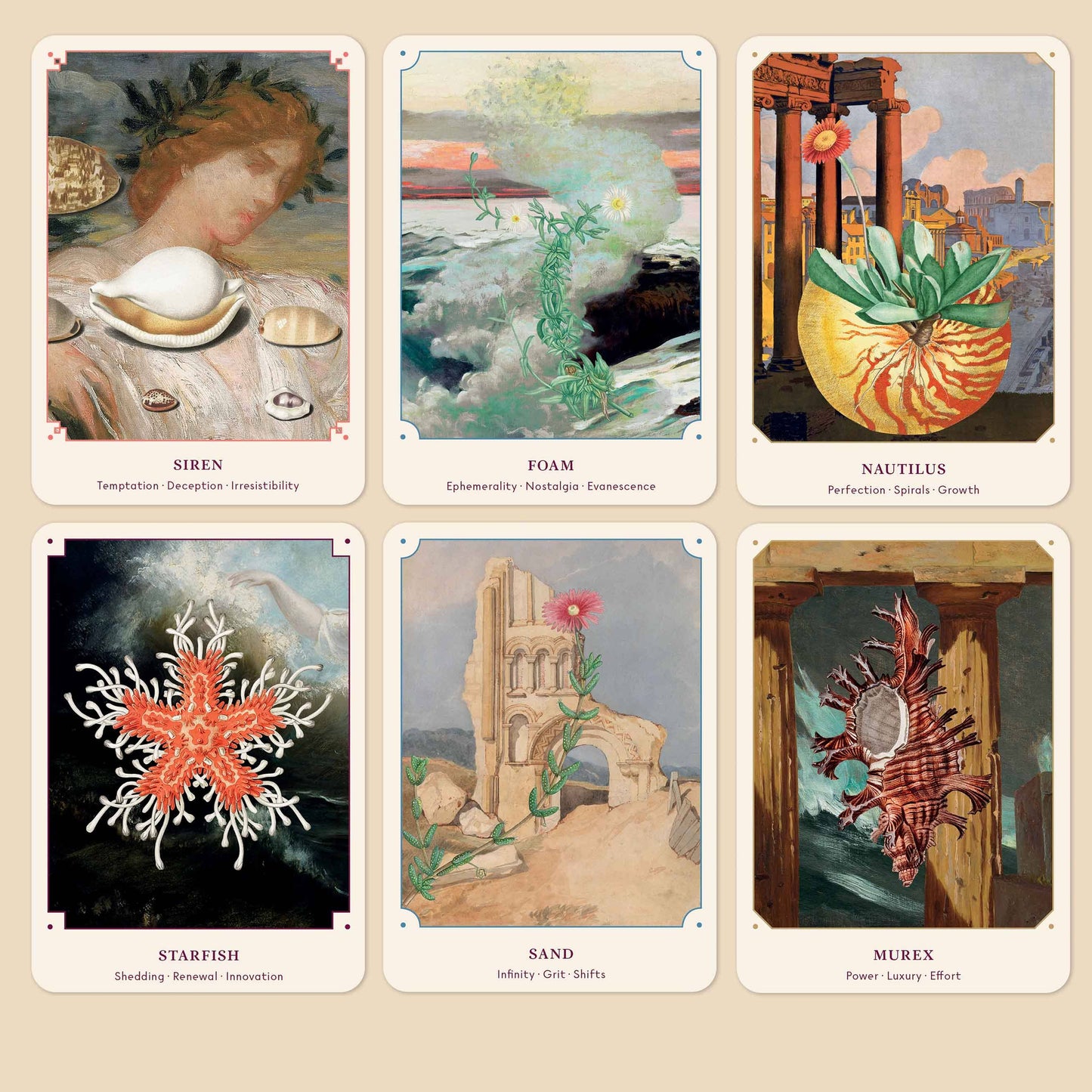 The Seashell Oracle: 44 Card Deck & Guidebook