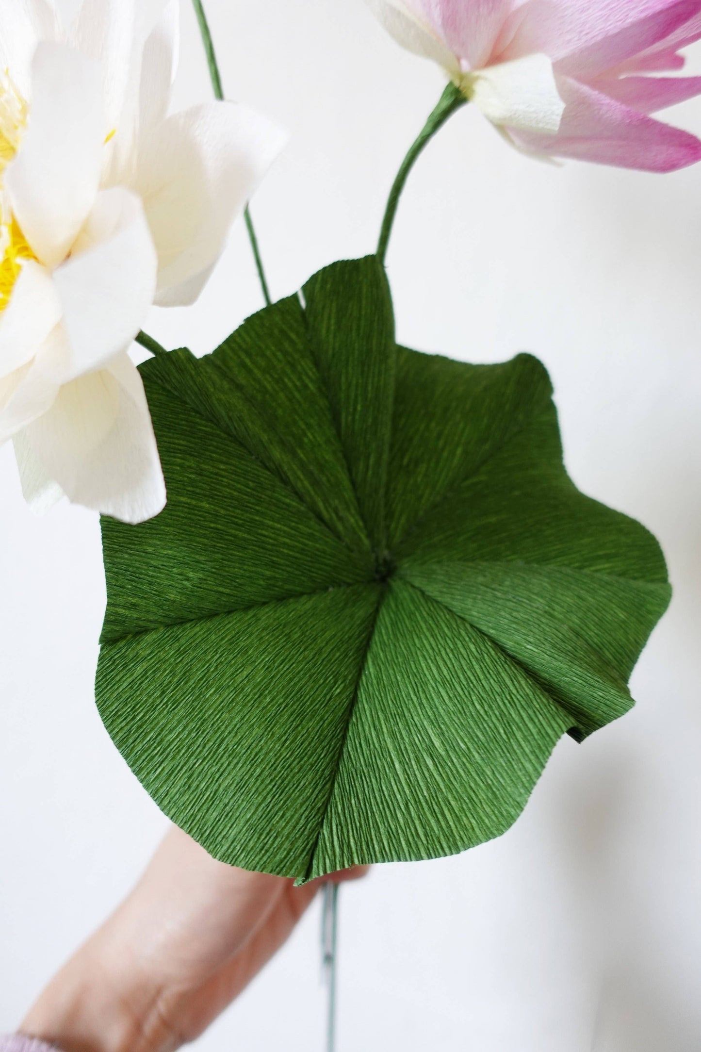 Make Your Own Crepe Paper White Sacred Lotus Flower