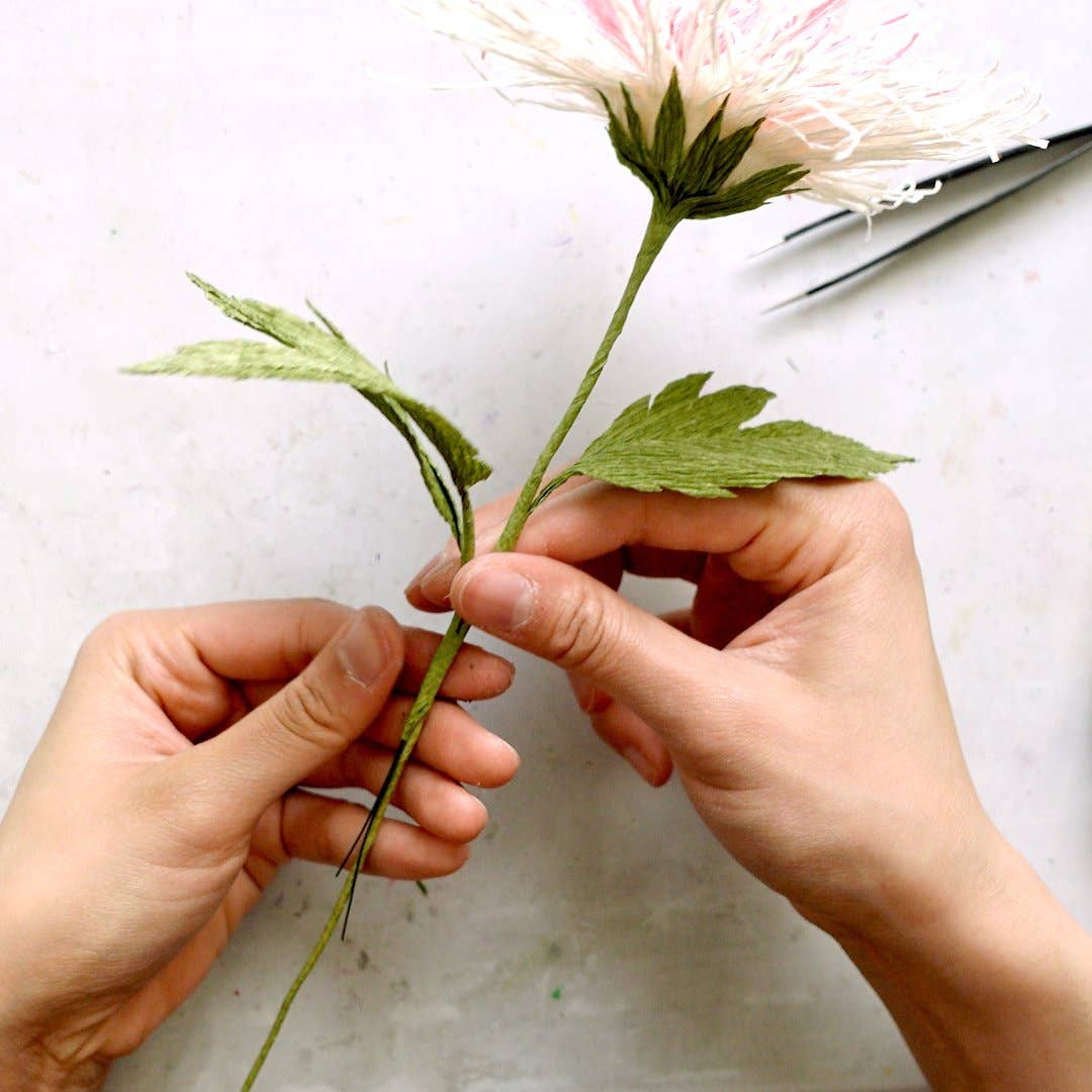 Make Your Own Crepe Paper Japanese Chrysanthemum