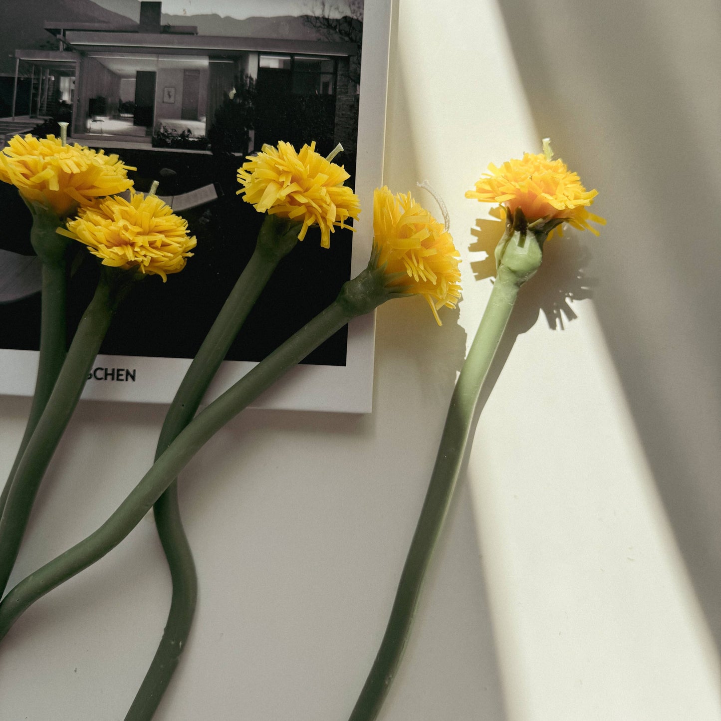 Beeswax Dandelion Dinner Candle