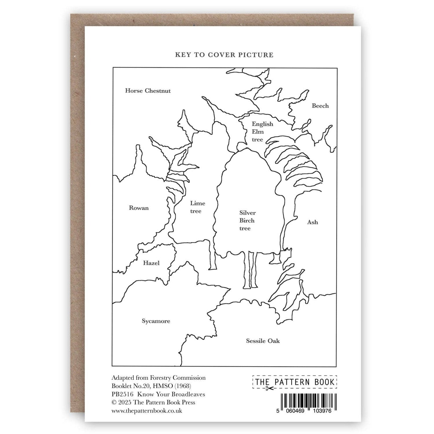 Know Your Broadleaves - Greeting Card