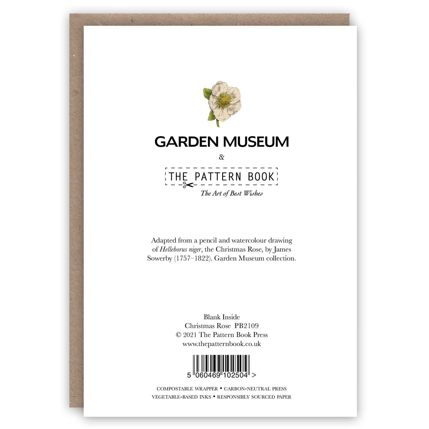 Christmas Rose Seasonal Card