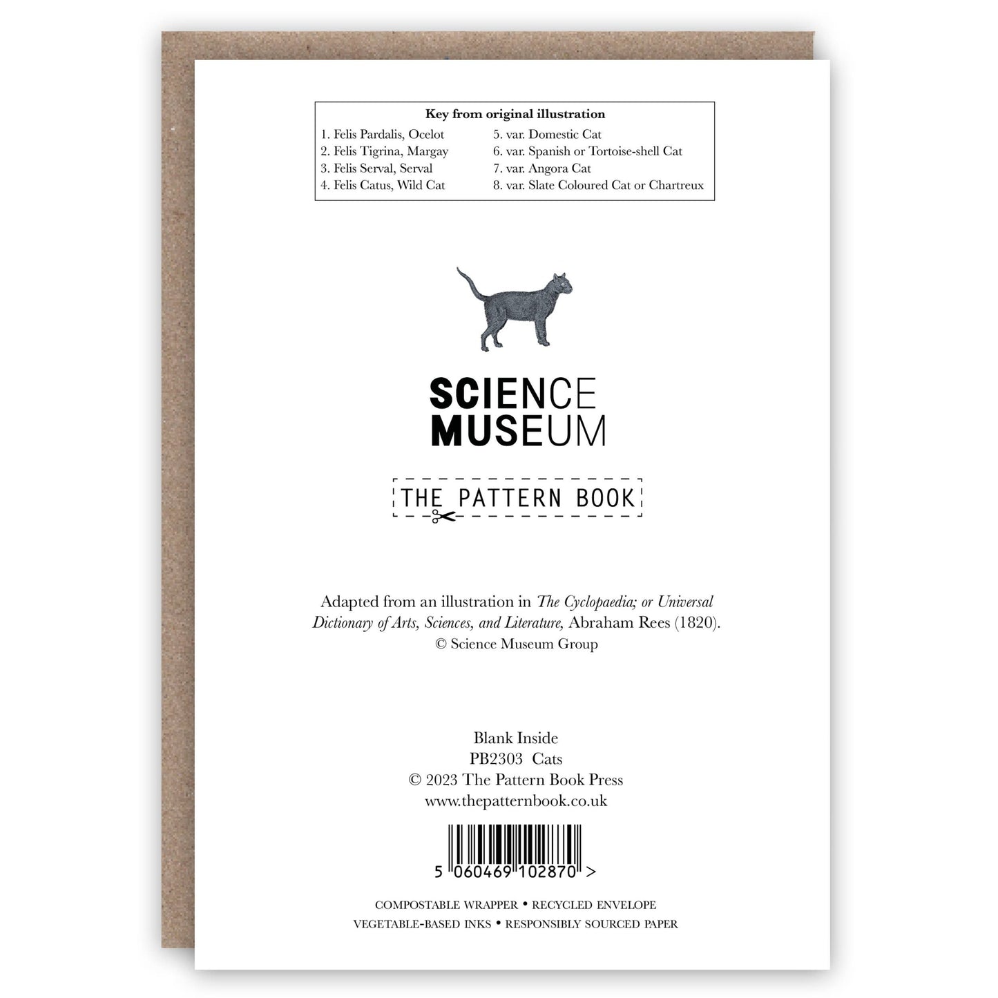 Cats - Greeting Card