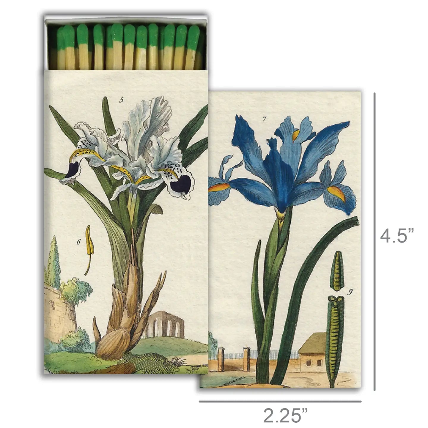 Match Box - Iris