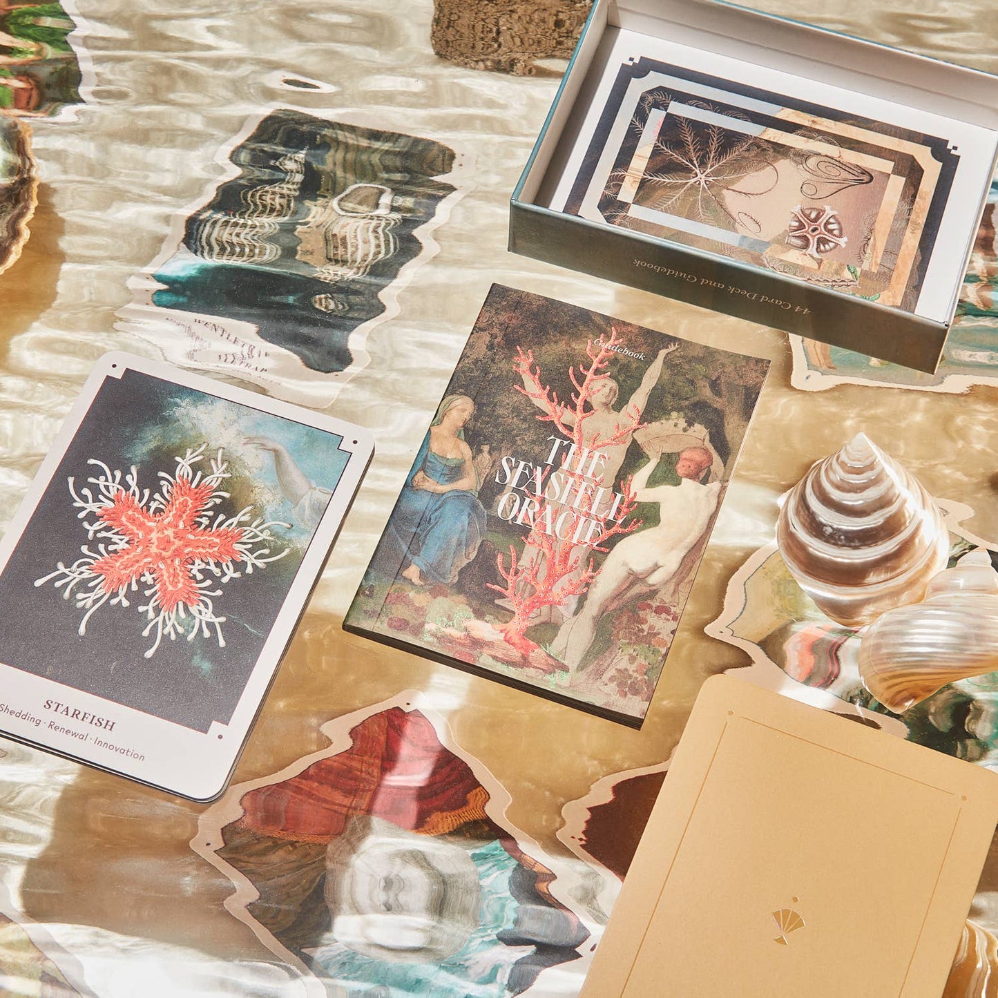 The Seashell Oracle: 44 Card Deck & Guidebook