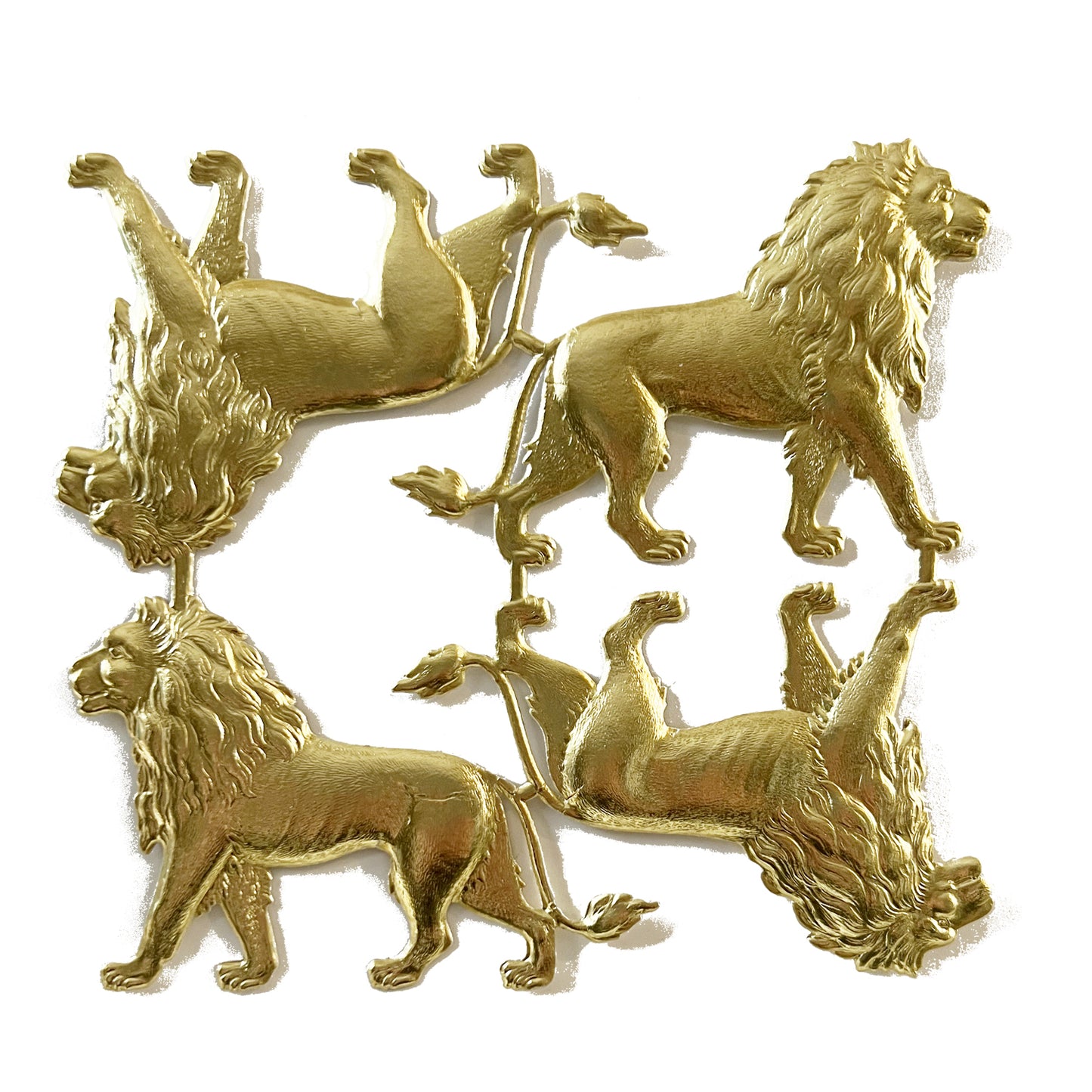 Lions - set of 4