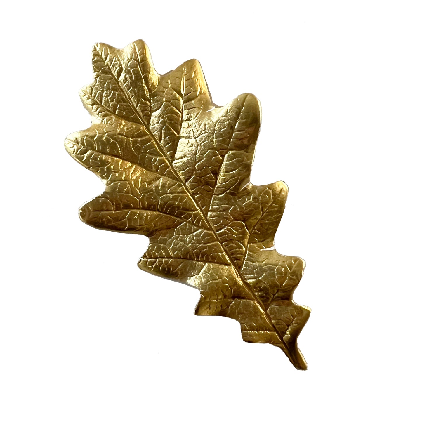 Oak Leaf