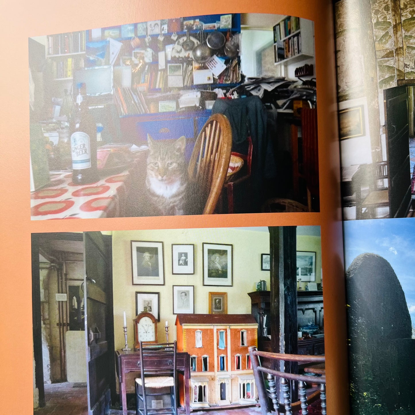 Pre-order The Bible of British Taste: Stories of Home, People and Place.