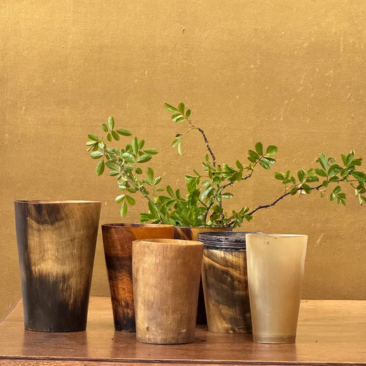 A Collection of 19th Century Horn Beakers