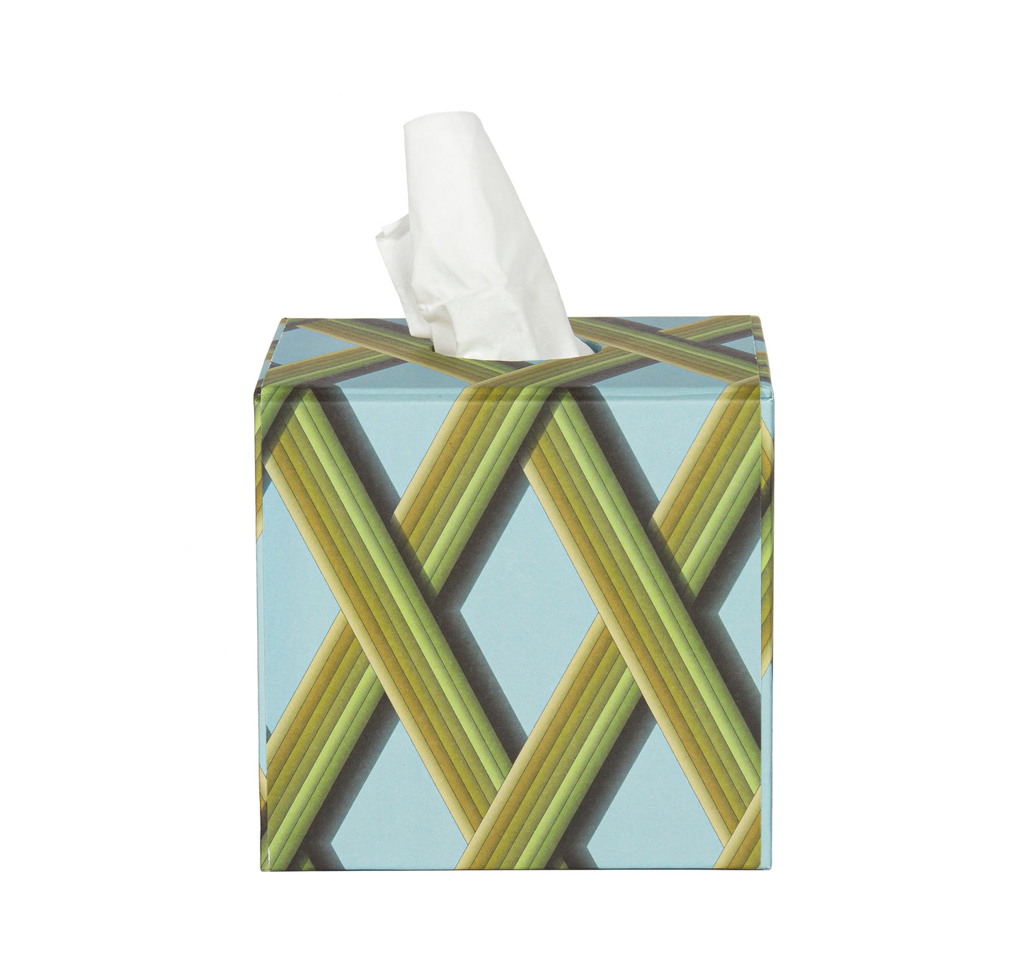 Tissue Box - Sky Blue Trellis Work