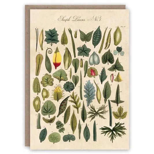 Simple Leaves - Greeting Card