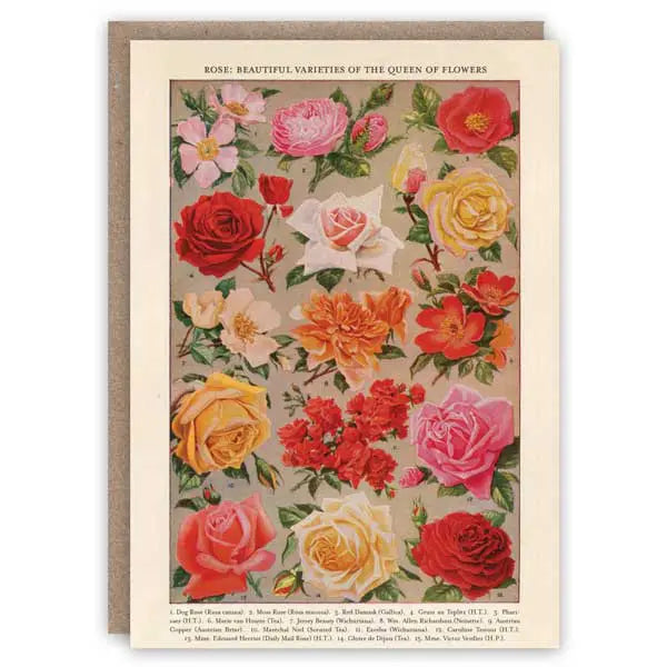 Roses - Greeting Card