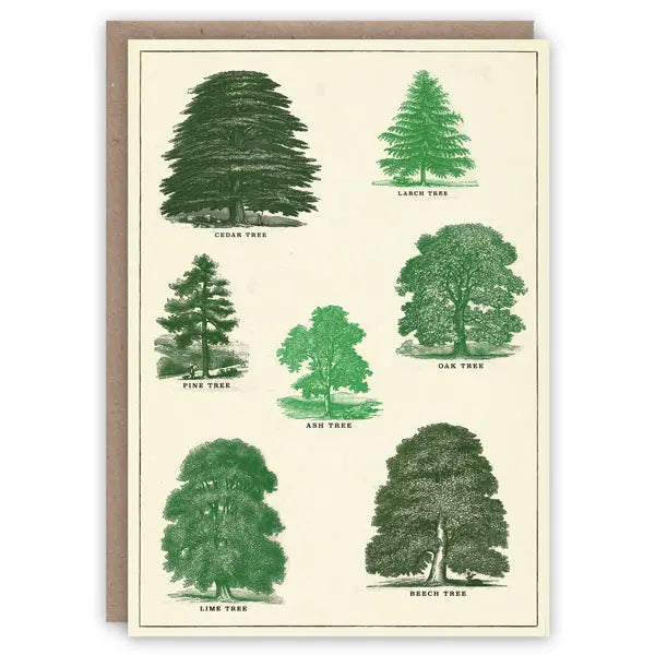 Trees - Greeting Card