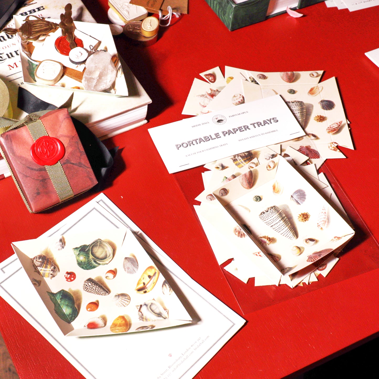 Portable Paper Trays - Set Of Four - Regenfuss Sea Shells