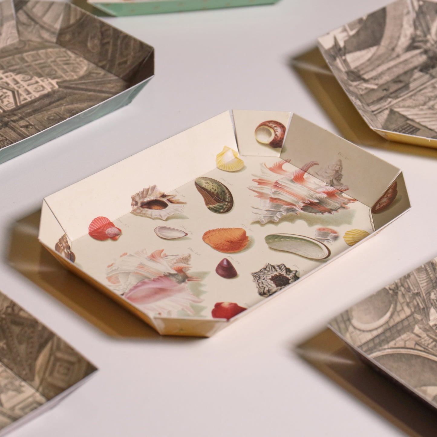 Portable Paper Trays - Set Of Four - Regenfuss Sea Shells