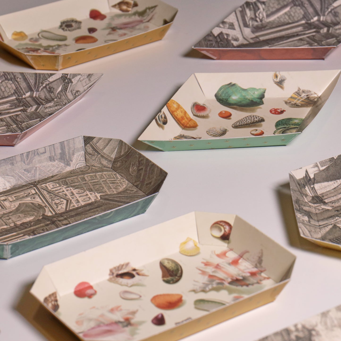 Portable Paper Trays - Set Of Four - Regenfuss Sea Shells