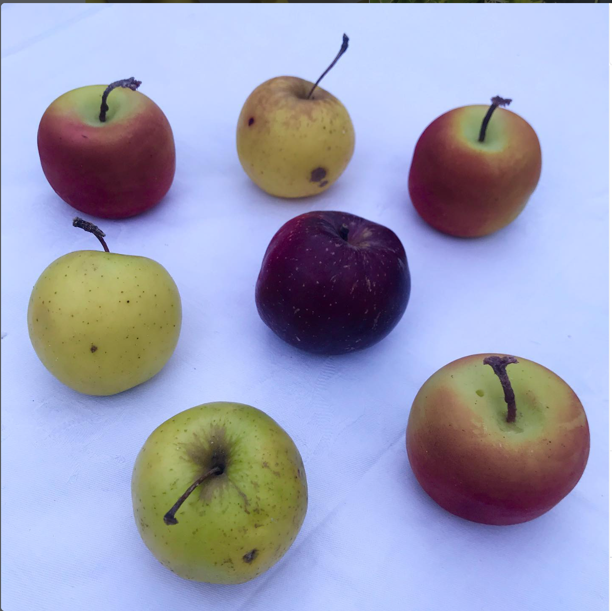 Large Apple Candle