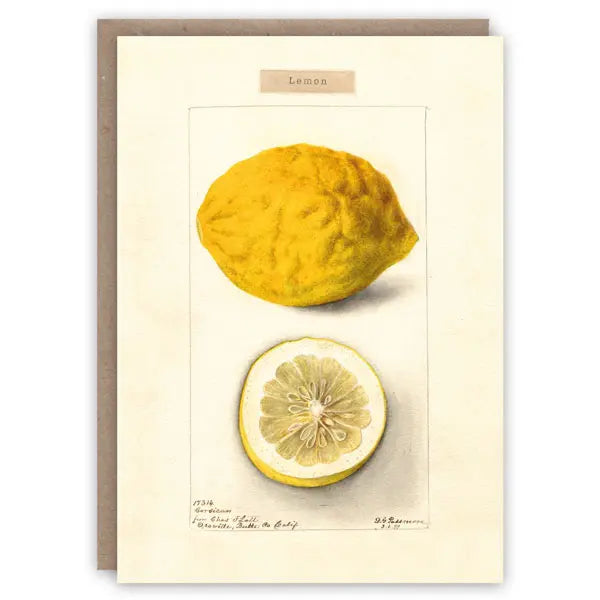 Lemon - Greeting Card