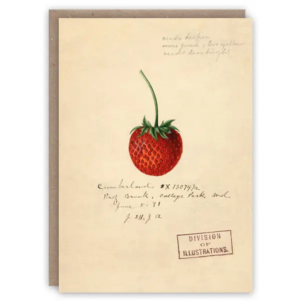 Strawberry - Greeting Card