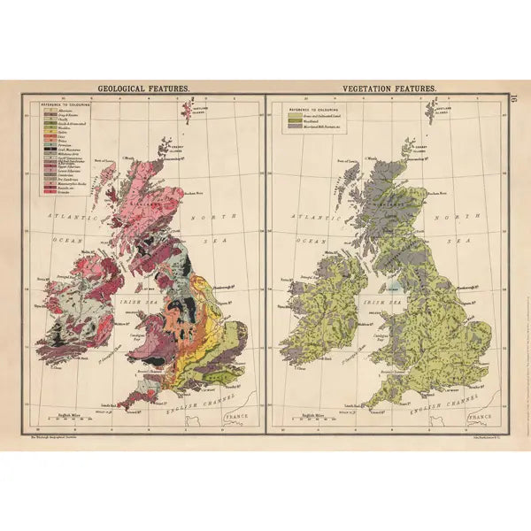 Geology & Vegetation of Britain - Wrapping Paper