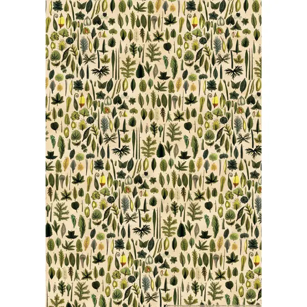 Leaves - Wrapping Paper