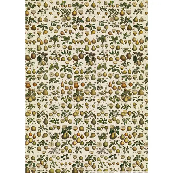 Pears - Wrapping Paper