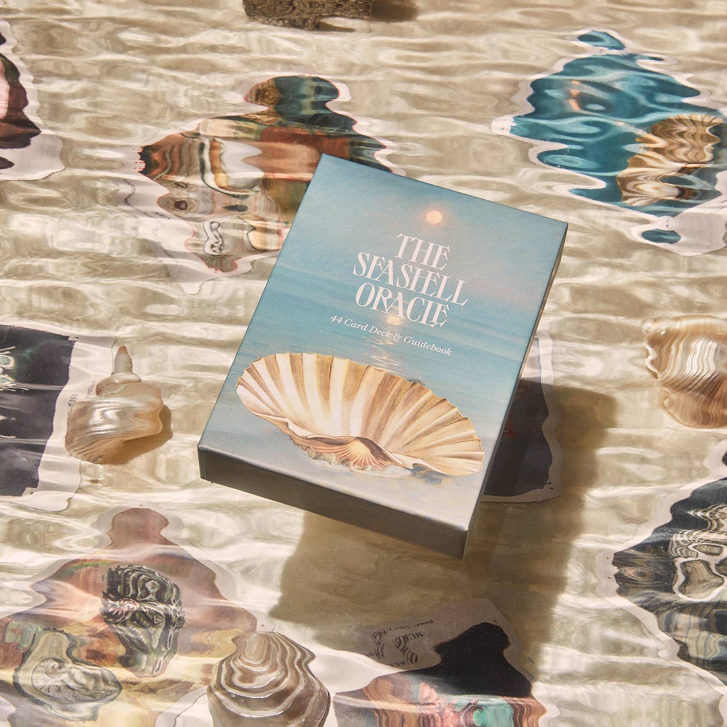 The Seashell Oracle: 44 Card Deck & Guidebook