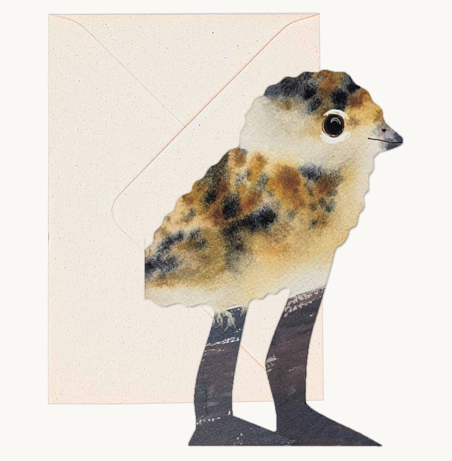 Lapwing Chick Card