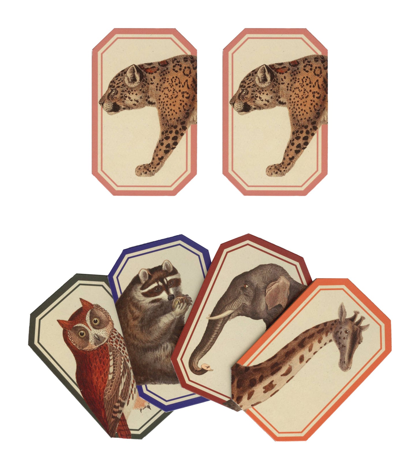 Memory Game - Animal Kingdom