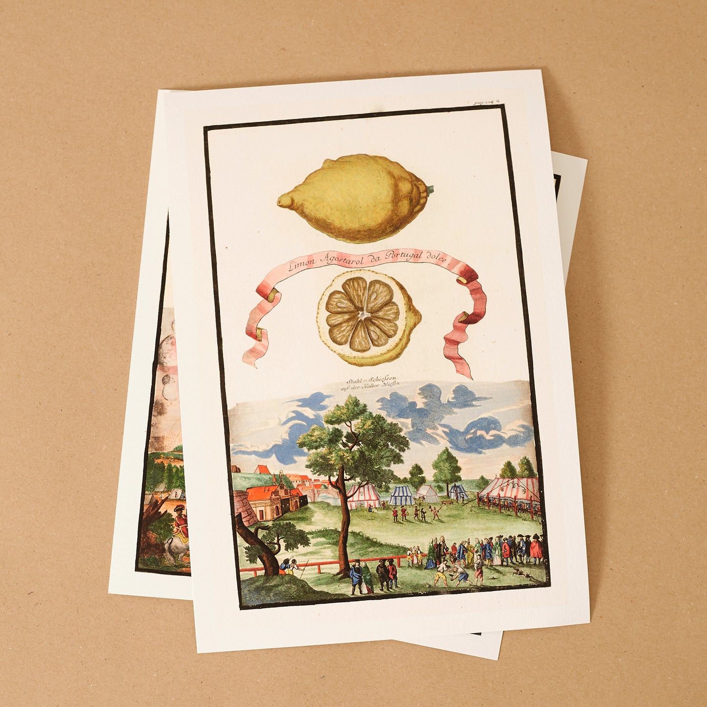Bergamotto Della Grand Sorte Giclée Print