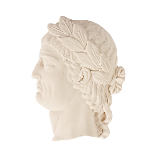Roman Emperor - Aulus Vitellius