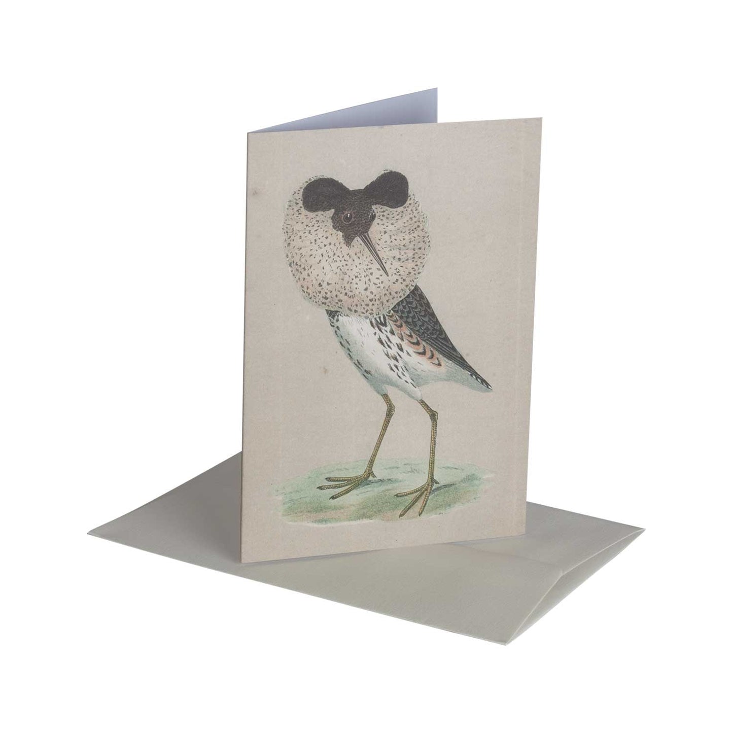 Ruff - greeting card