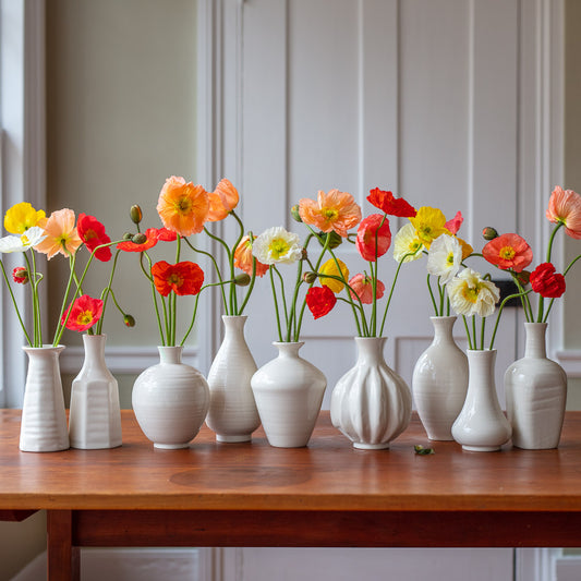 JOIN US! With Frances Palmer at P&H on Thursday 16th March.