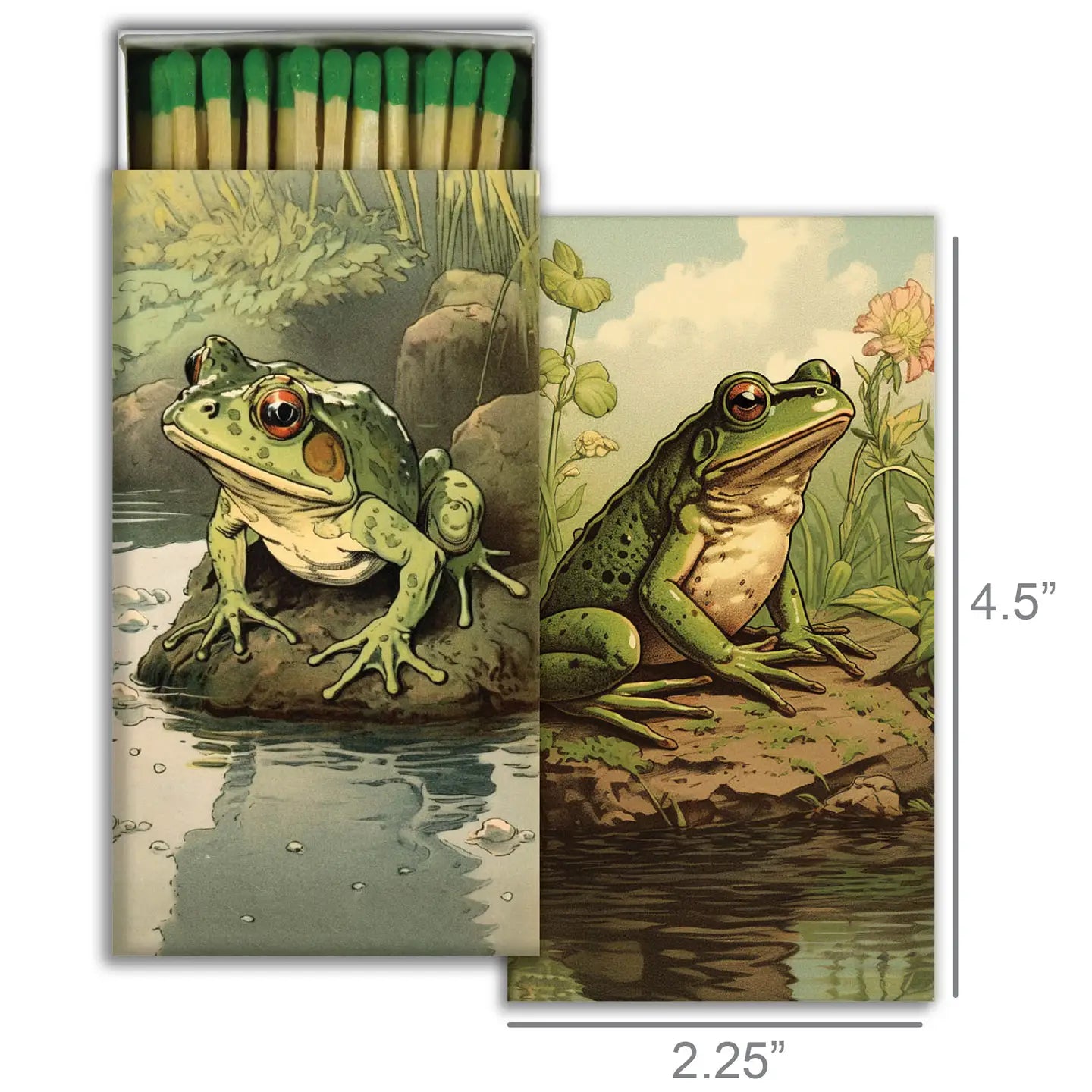 Match Box - Vibrant Toads