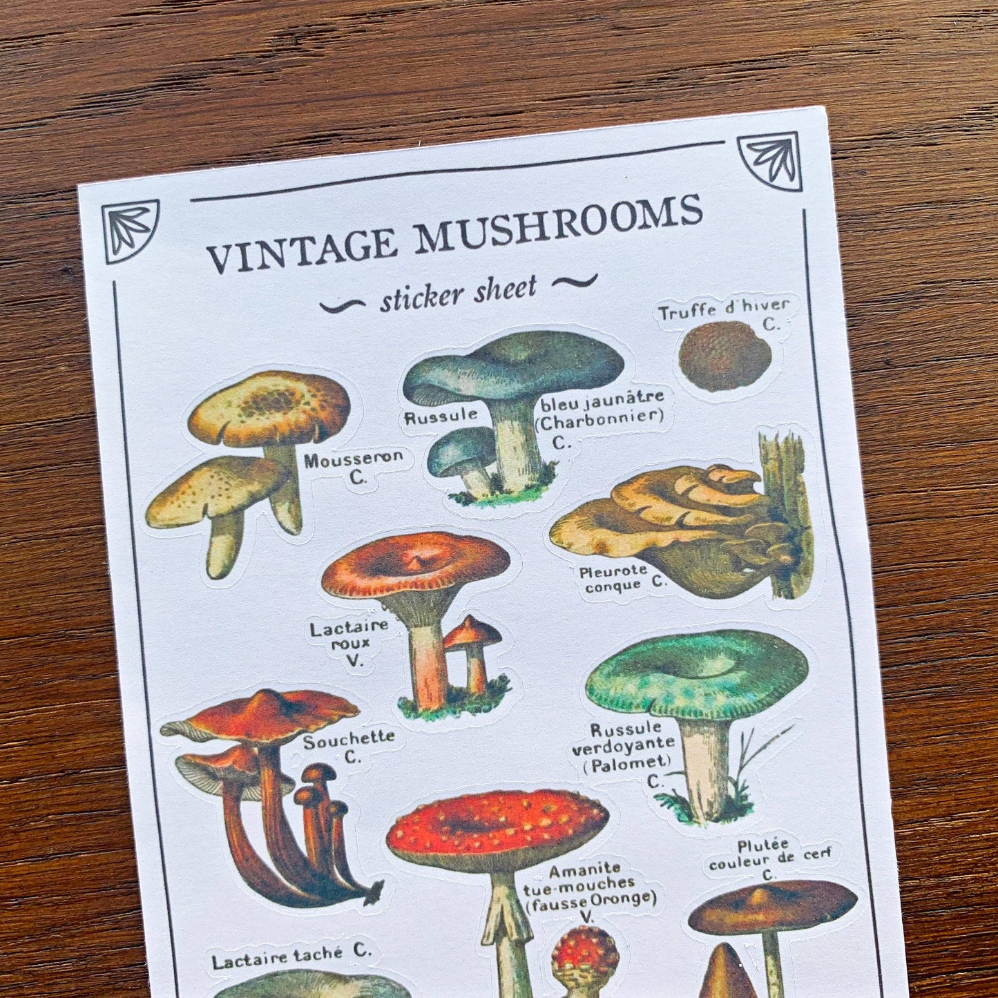 Vintage Mushroom Sticker Sheet