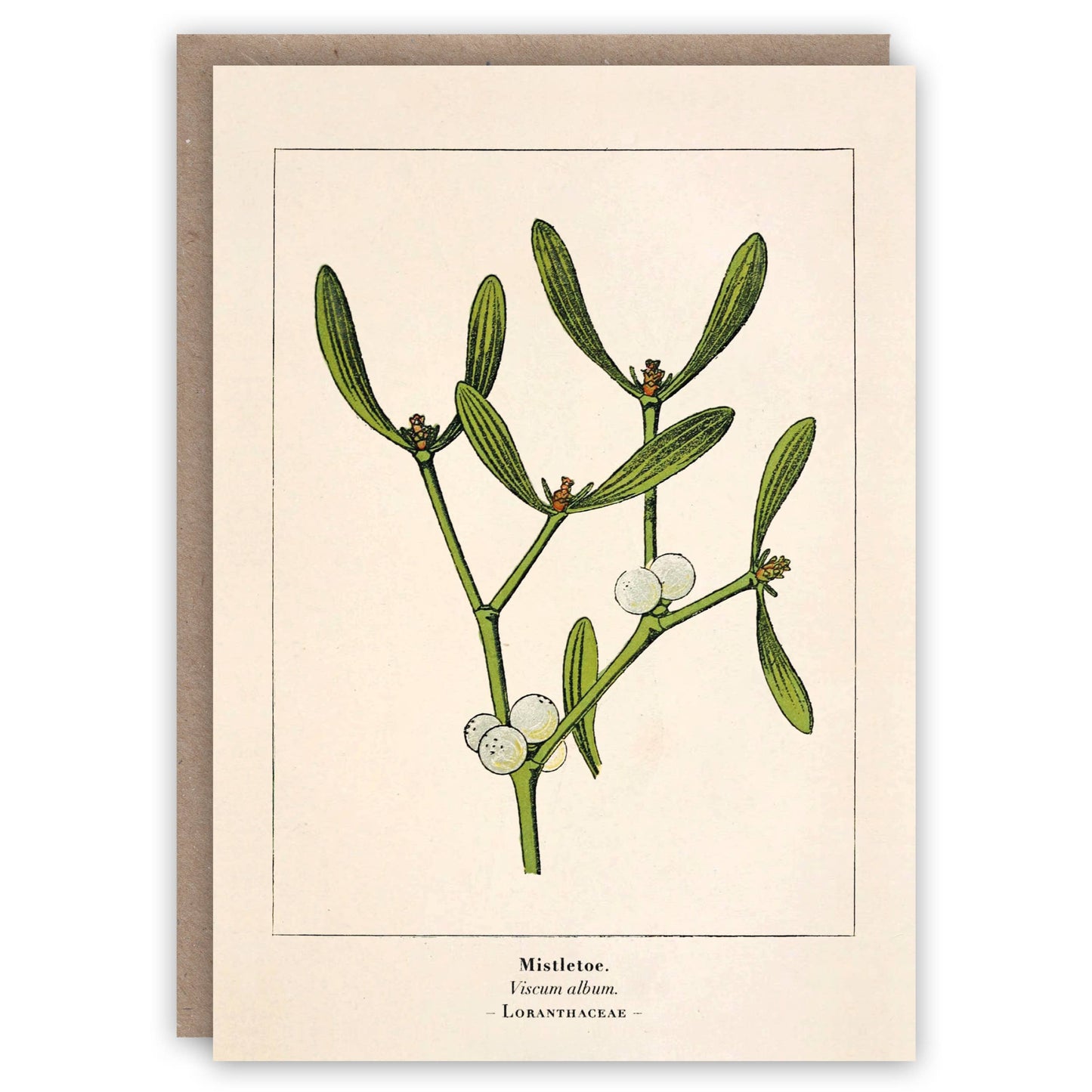 Mistletoe Christmas Card