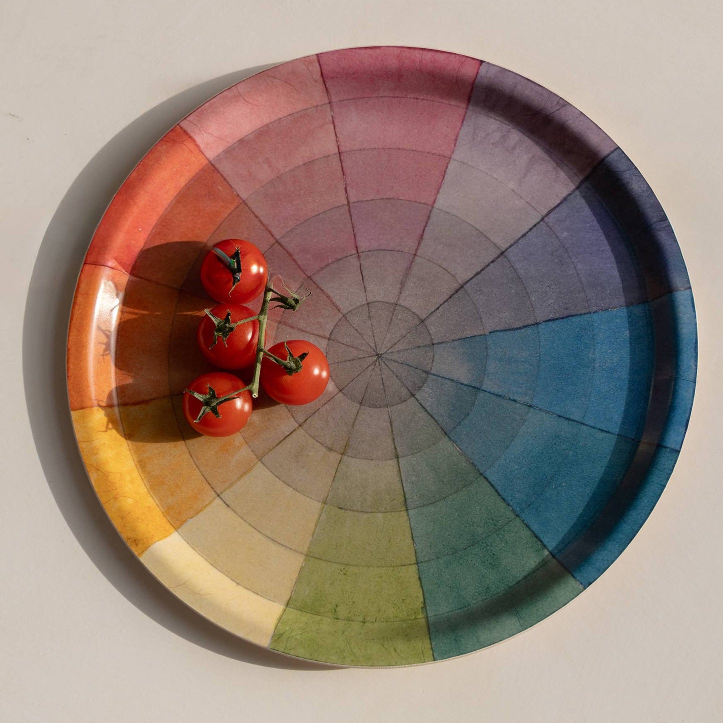 Birchwood Tray - Vintage Colour Wheel