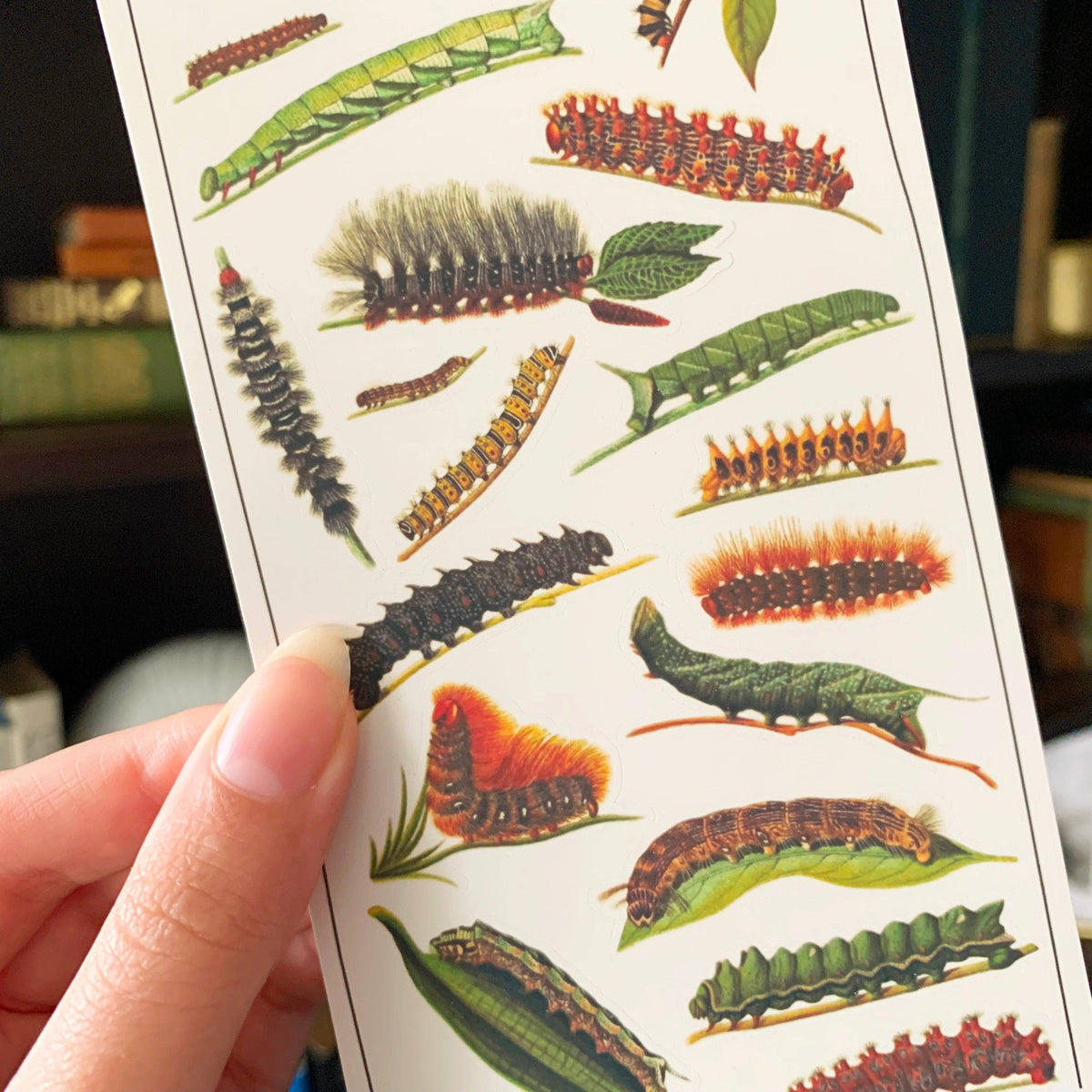 Vintage Caterpillars Sticker Sheet