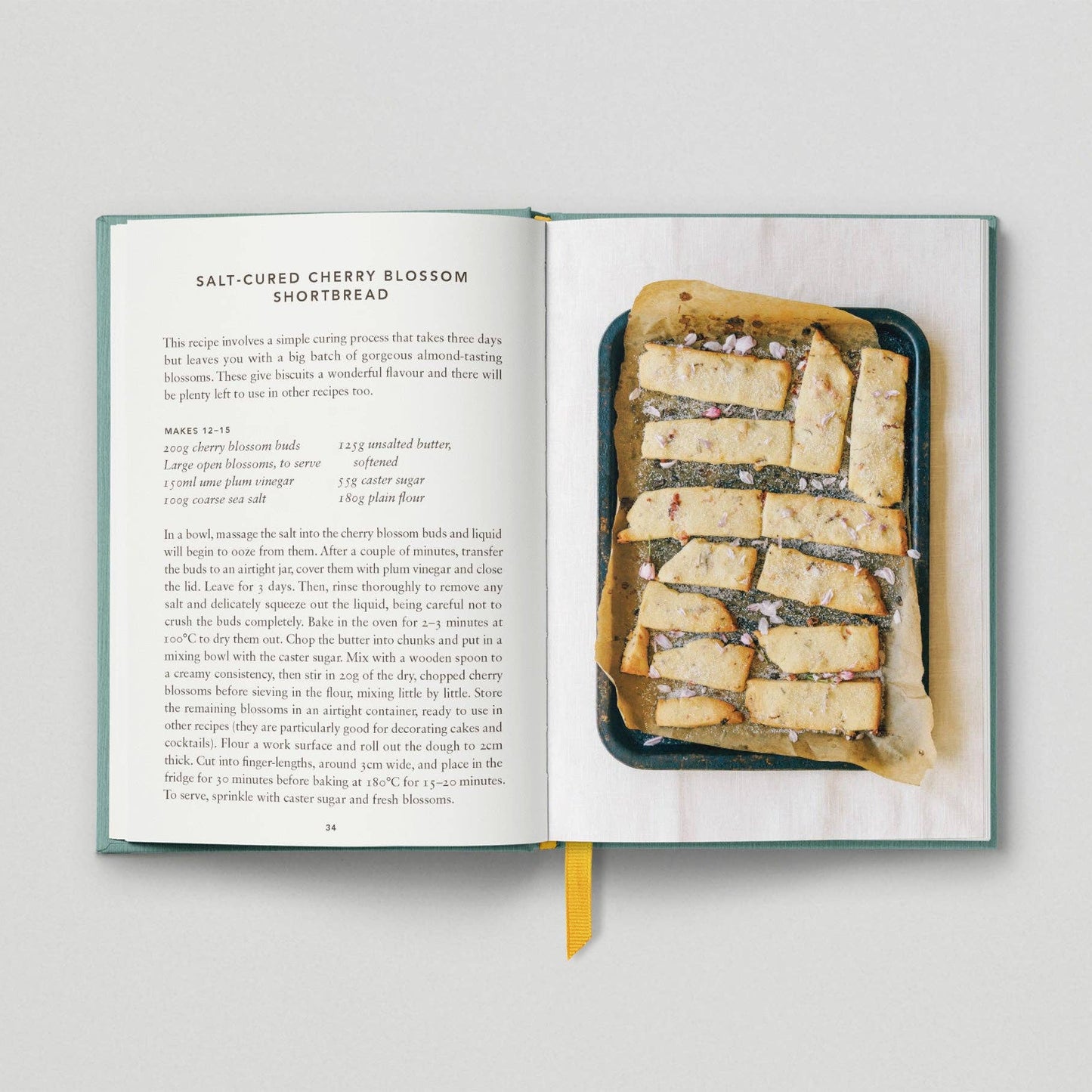 The Urban Forager: Find and Cook Wild Food in the City