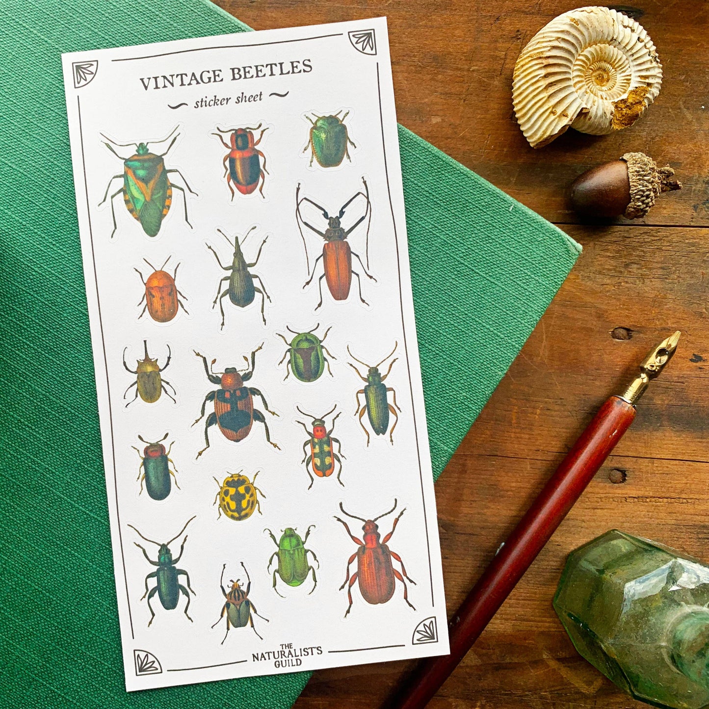 Vintage Beetles Sticker Sheet