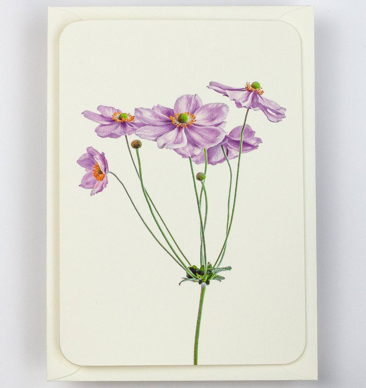 Anemone Greeting Card