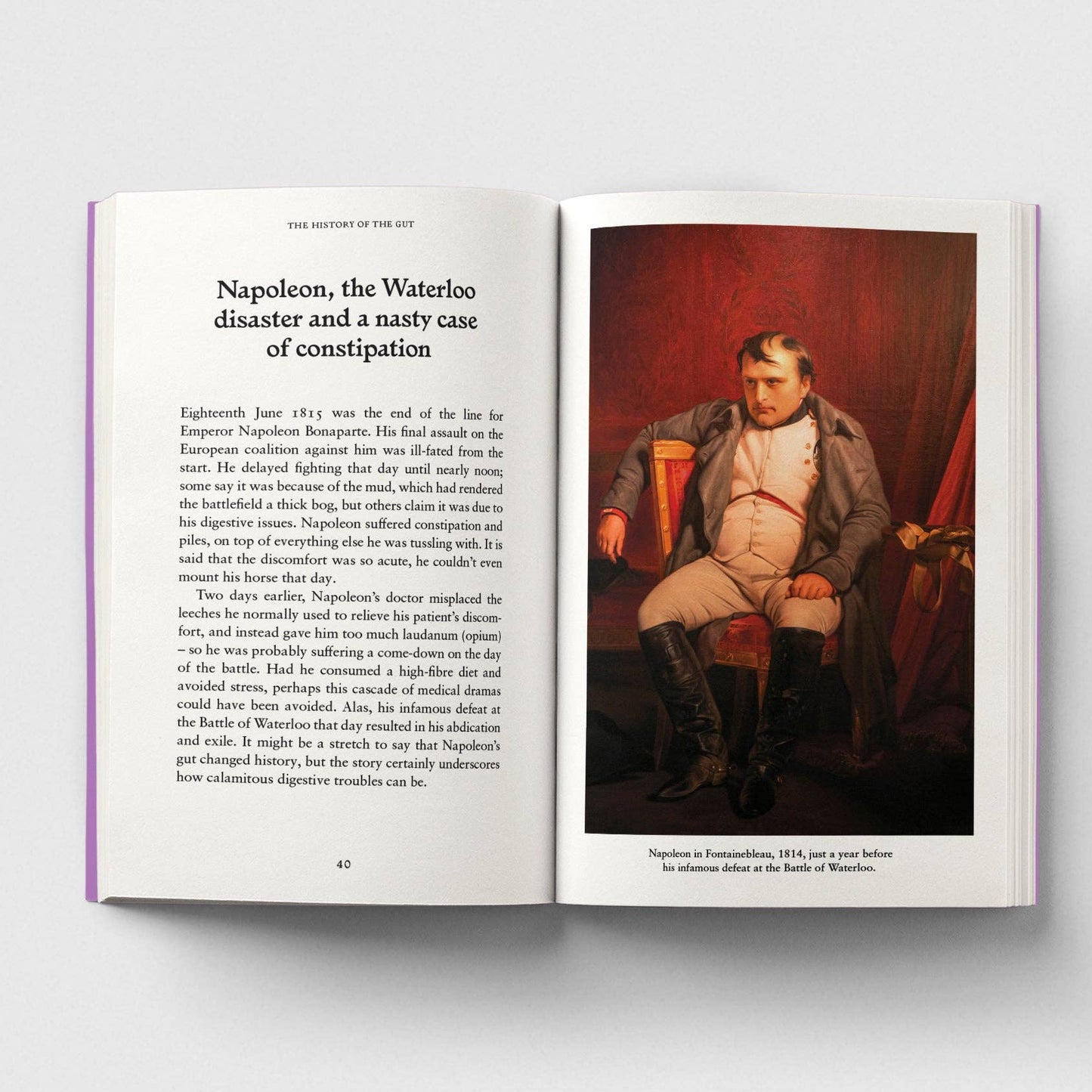 The Gut, A Pocket Primer