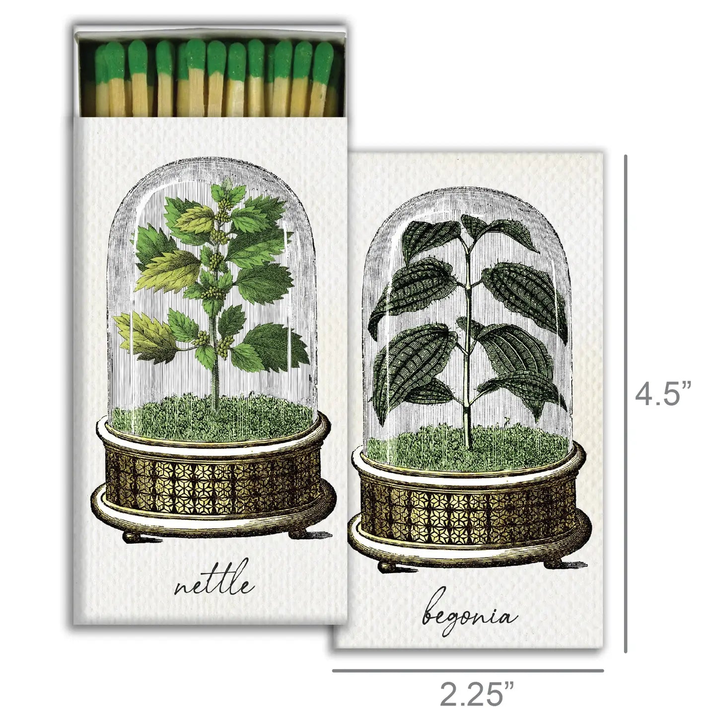 Match Box - Cloche