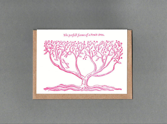 Fruit Tree - Greeting Card