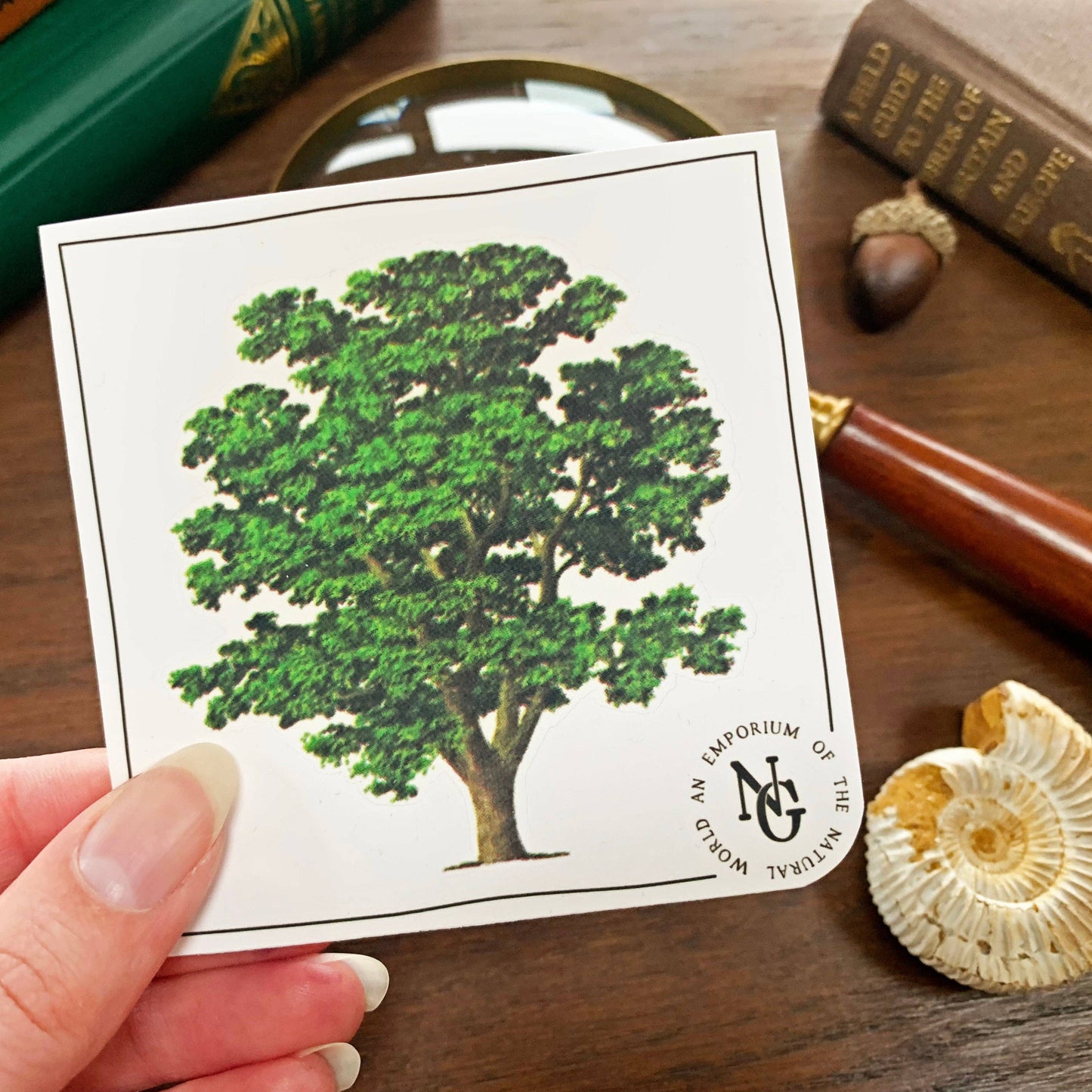 Walnut Tree Vintage Sticker