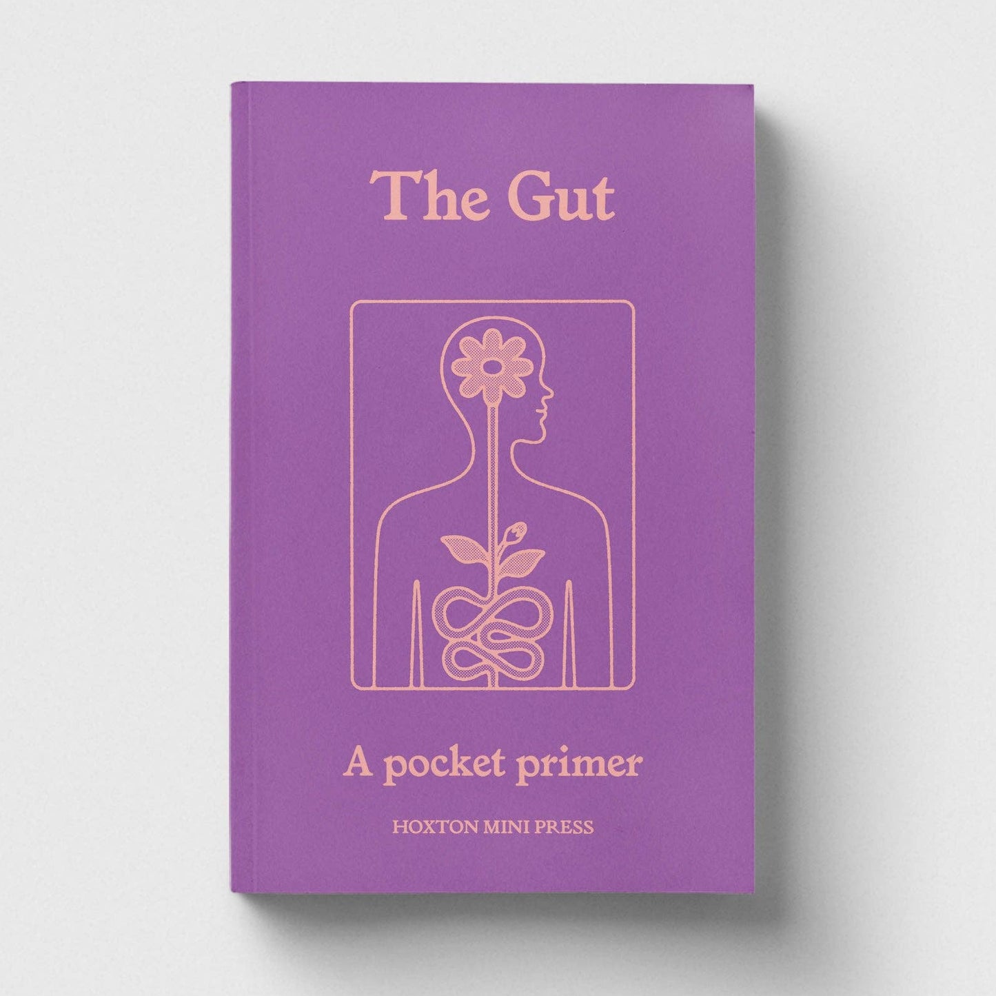 The Gut, A Pocket Primer