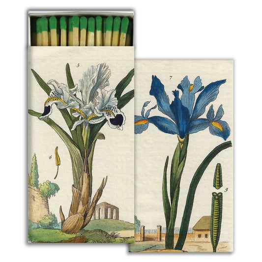 Match Box - Iris