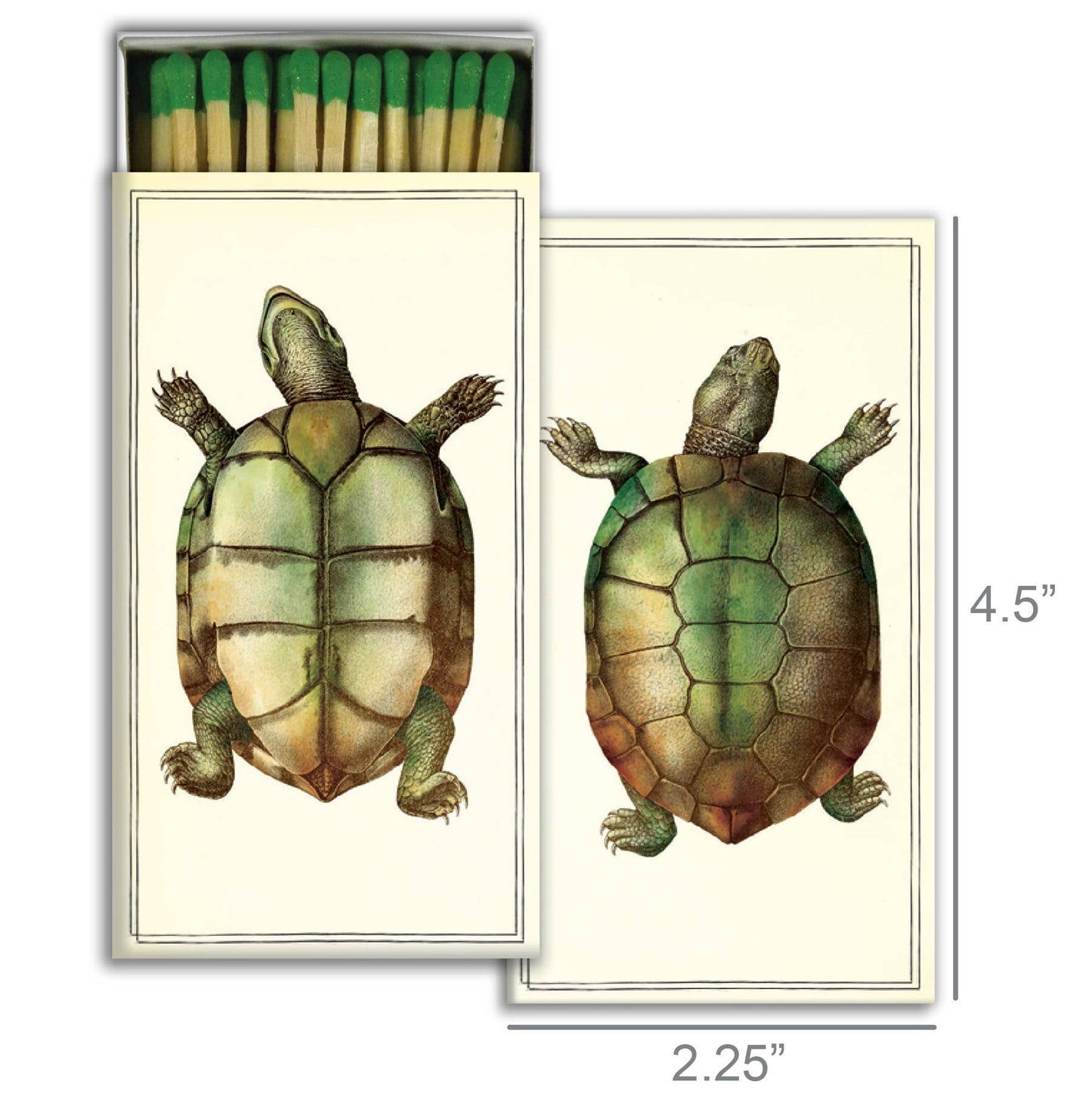 Match Box - Tortoise
