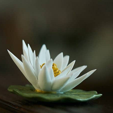 Ceramic White Lotus Incense Holder